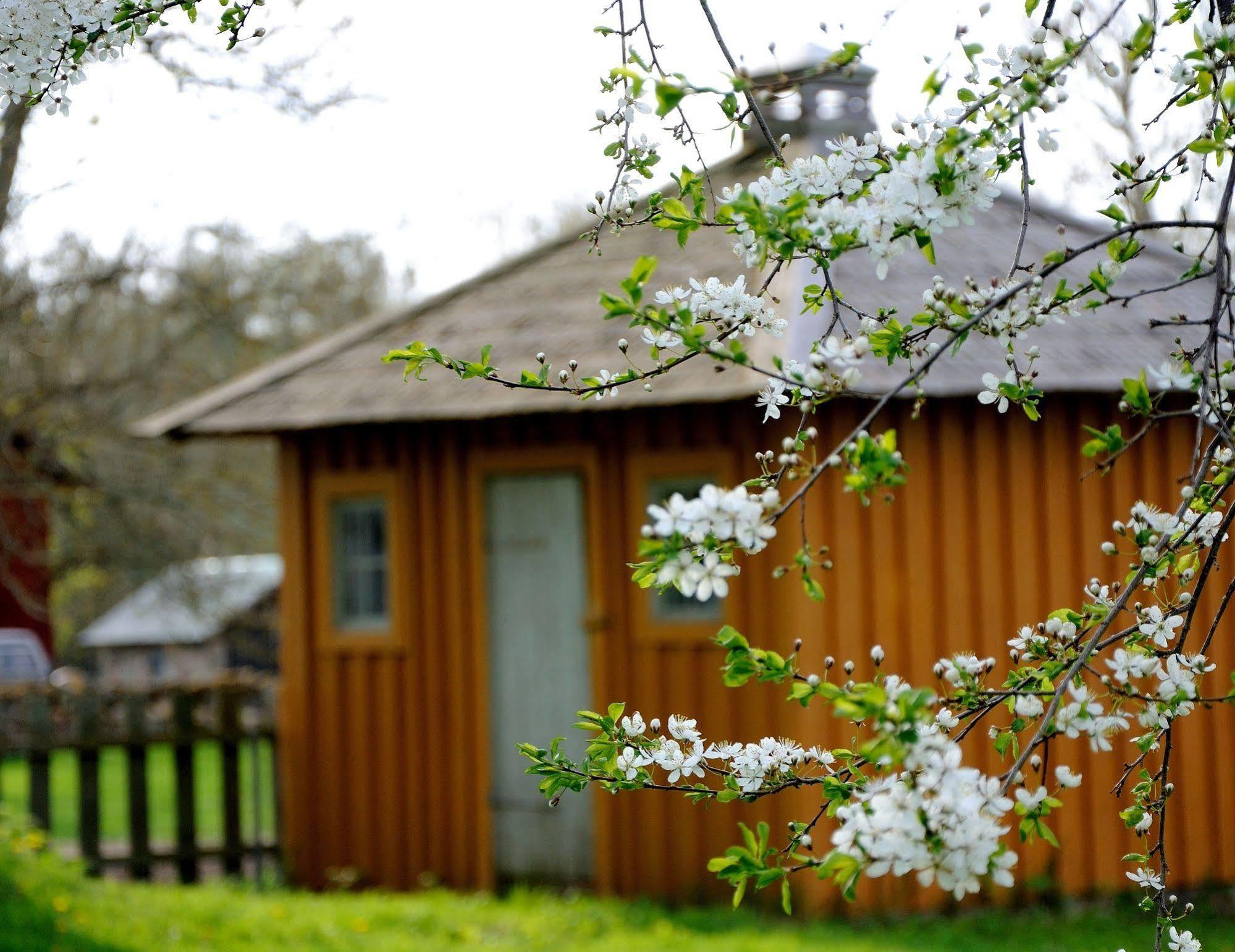 Naestegarden Bed & Breakfast Satuna Ngoại thất bức ảnh