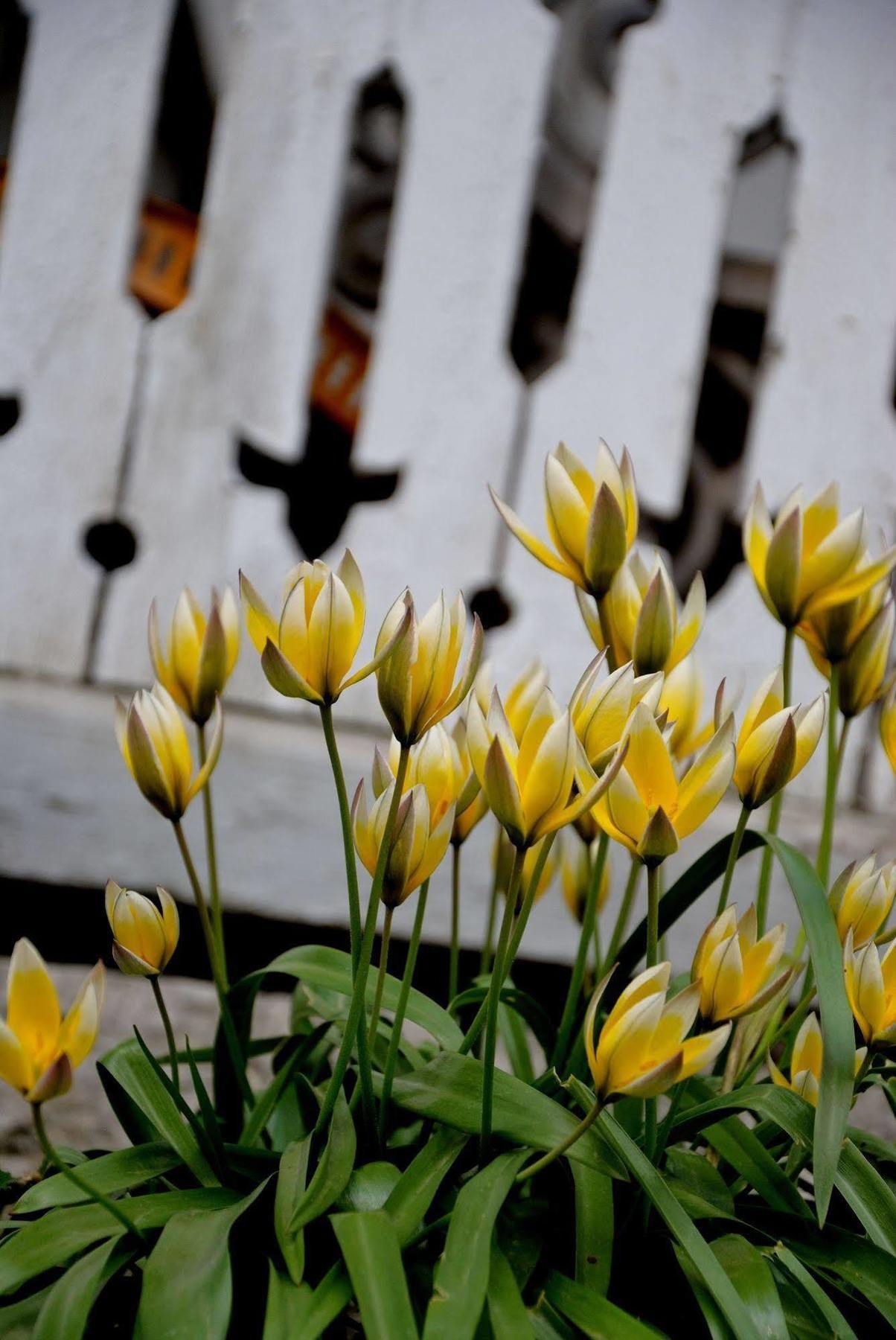 Naestegarden Bed & Breakfast Satuna Ngoại thất bức ảnh